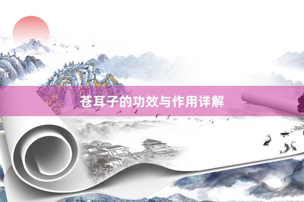苍耳子的功效与作用详解